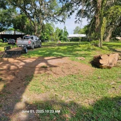 Yard cleared and leveled after stump removal Tampa