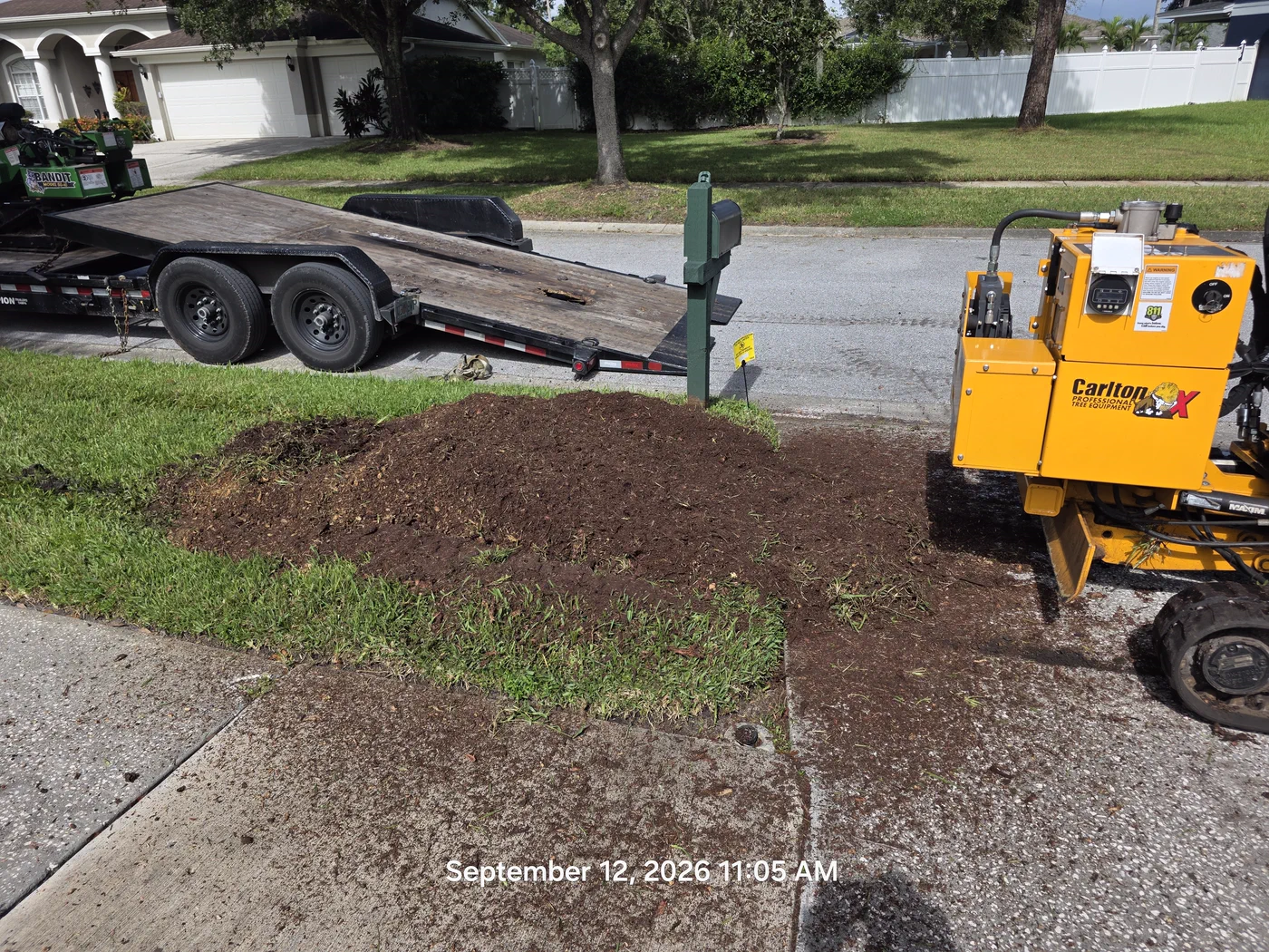 Fresh grindings covering the spot where a stump was removed in Tampa