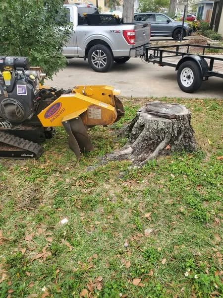 Stump grinding machine cutting tree stump in backyard