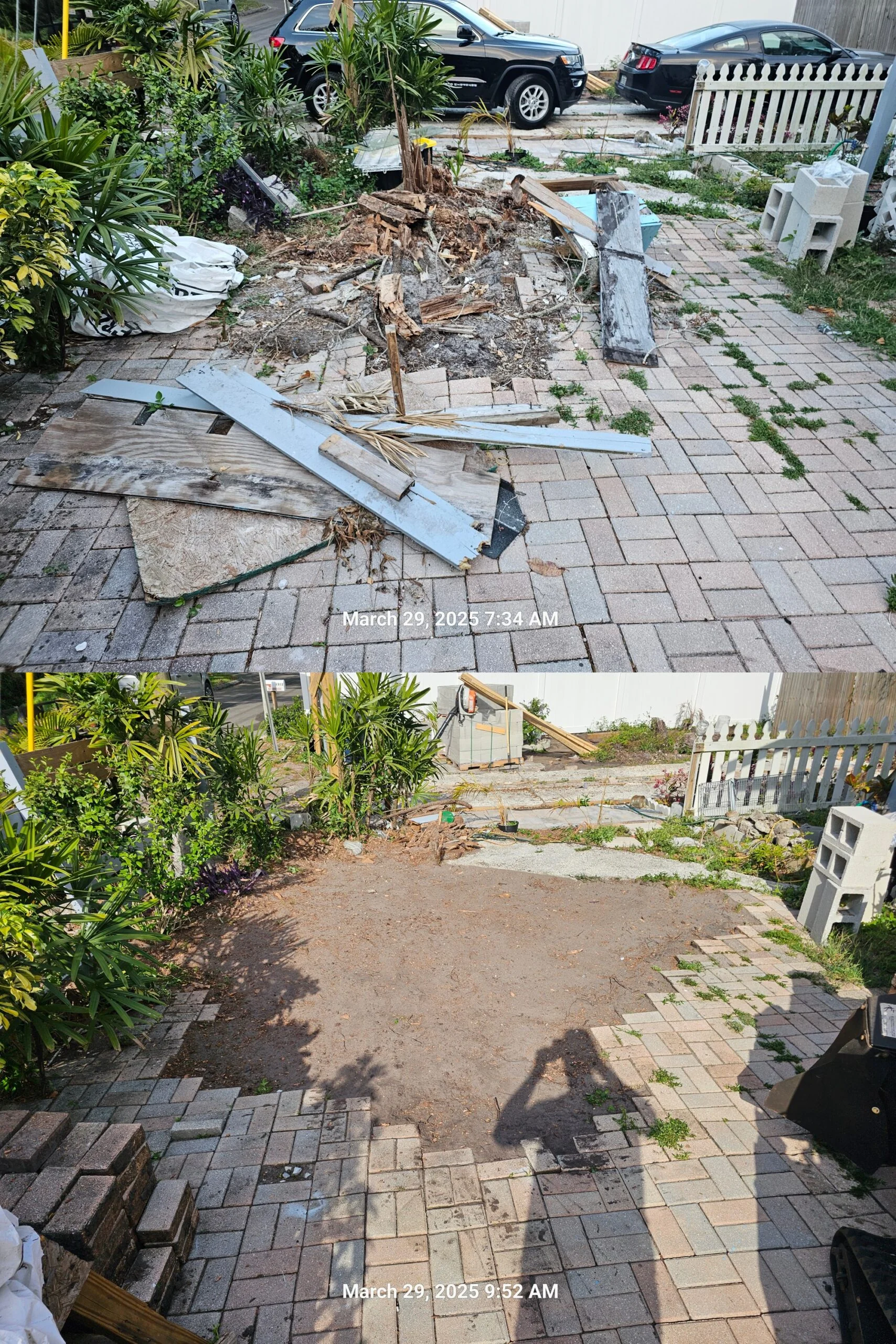 Stump removal before and after Tampa yard