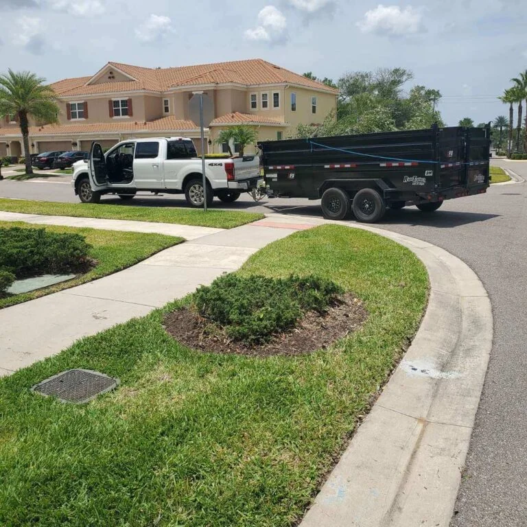 Clean residential lawn after stump removal service Tampa