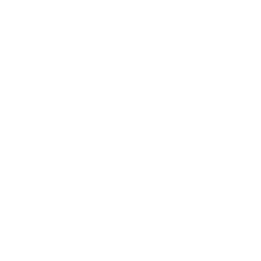 Reliable and customer friendly tree service Tampa