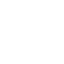 Certified tree service process and equipment Tampa