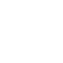 Affordable and transparent tree service pricing Tampa