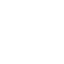 Yard cleanup tools and equipment for tree service Tampa