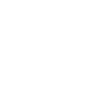 Professional workflow for stump removal and tree services Tampa