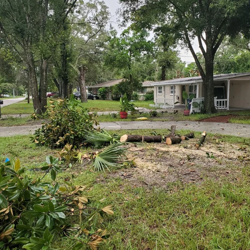 Yard cleared after stump removal and land leveling Tampa