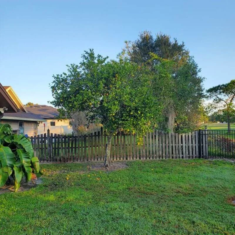 Lawn cleared after stump removal service Tampa