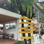 Professional tree service directions and planning Tampa