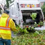 Tree debris cleanup and hauling service Tampa