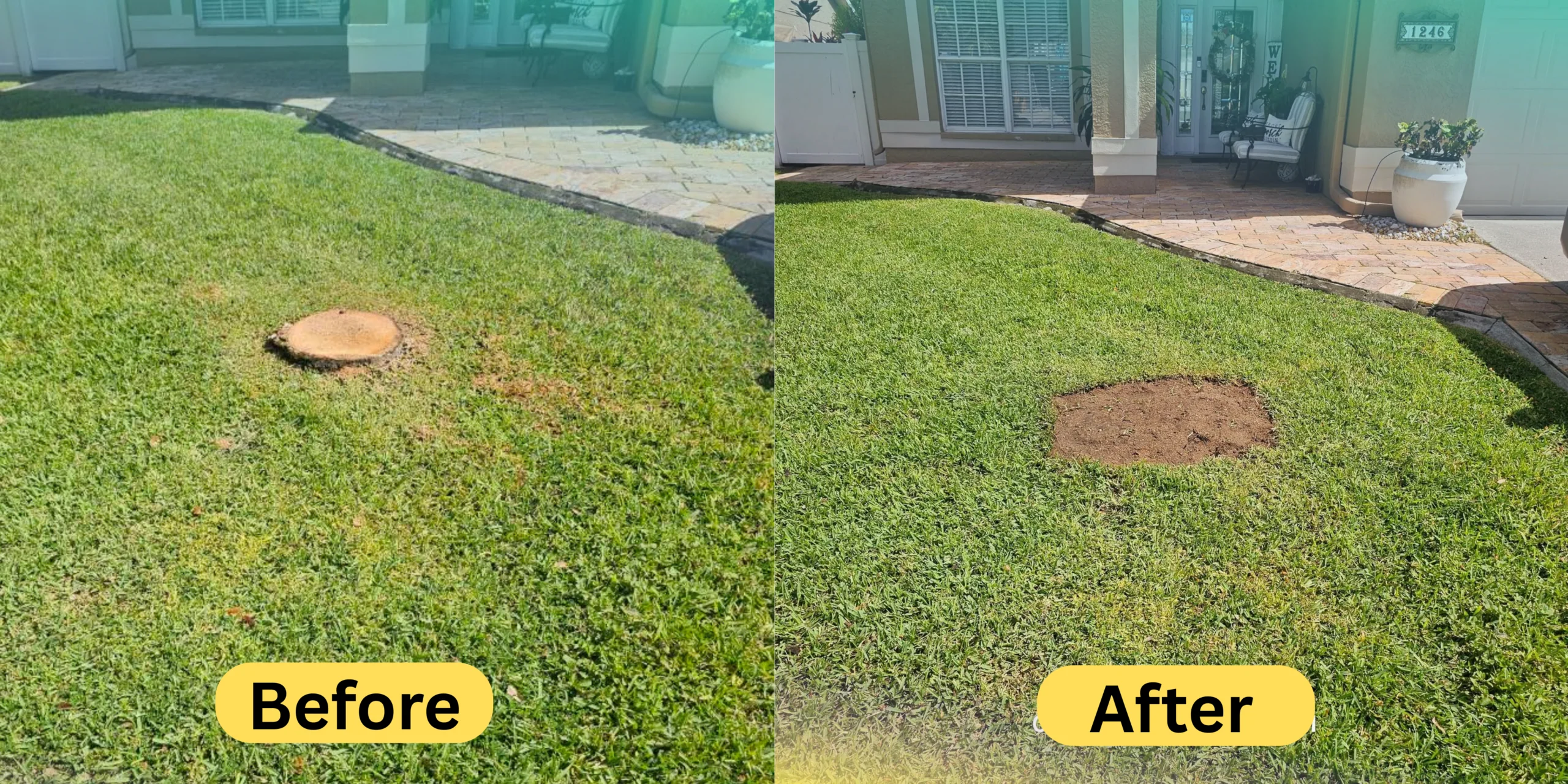 Before and after view of a professional stump removal project in Seffner and Temple Terrace, FL, showing complete stump grinding and a smooth, leveled lawn ready for regrowth and improved curb appeal.