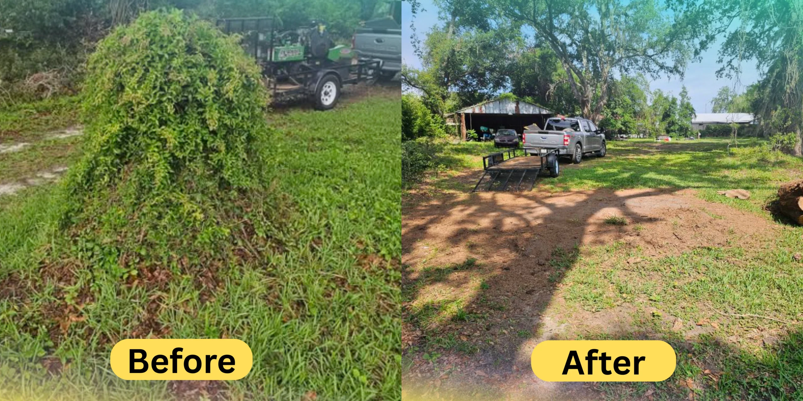 Before and after stump removal in Valrico FL showing overgrown area cleared and leveled ground