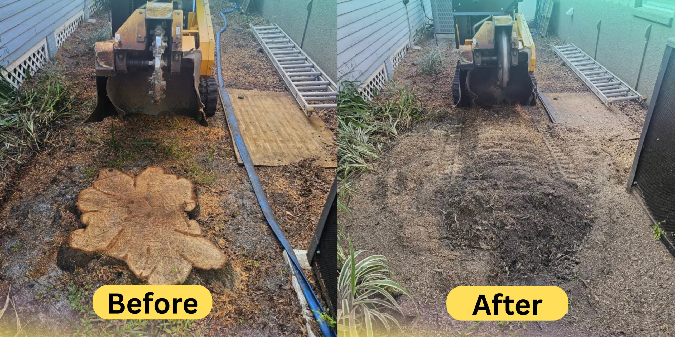 Before and after stump removal in Wesley Chapel FL showing smooth lawn restoration and leveled ground