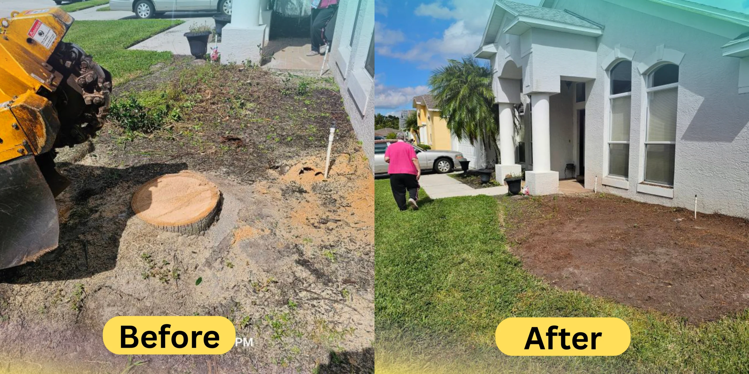 Before and after stump removal in Lutz FL showing front yard leveling and clean ground preparation