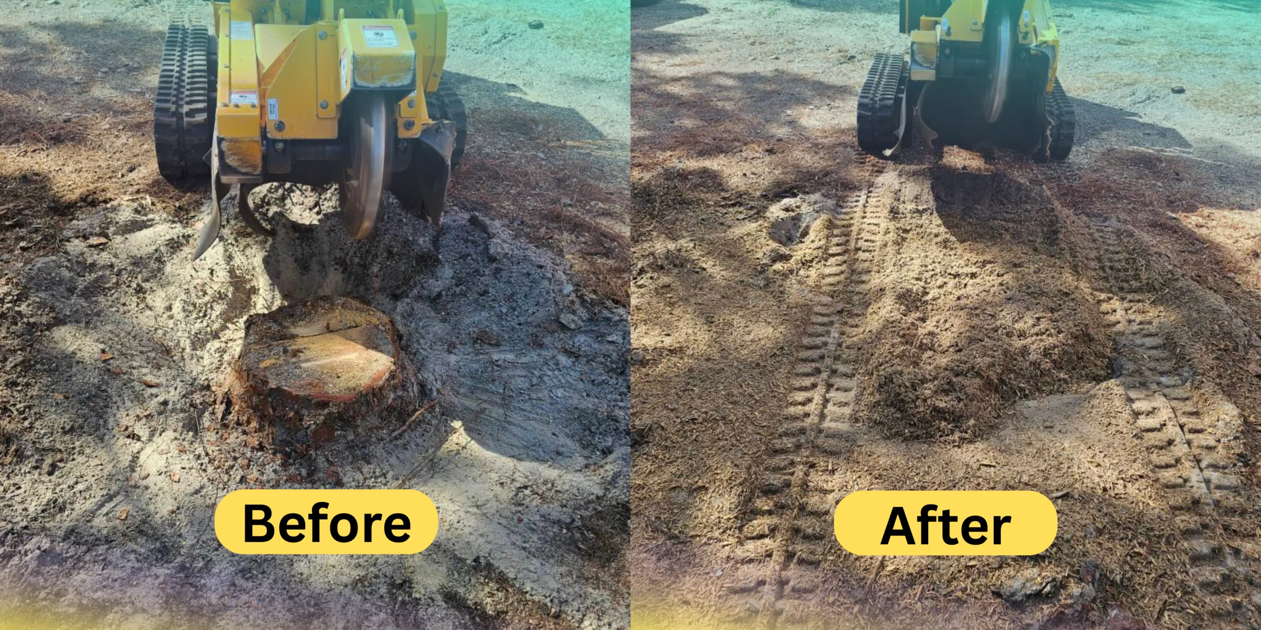 Professional stump grinding service in Brandon FL residential yard with arborist worker