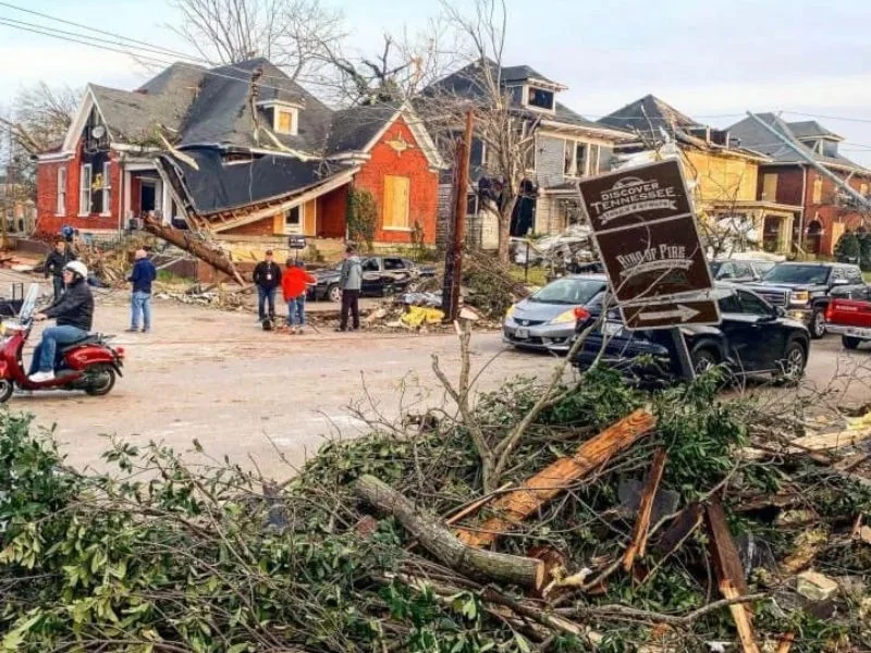 brush chipping service cleaning tree debris in backyard Riverview FL