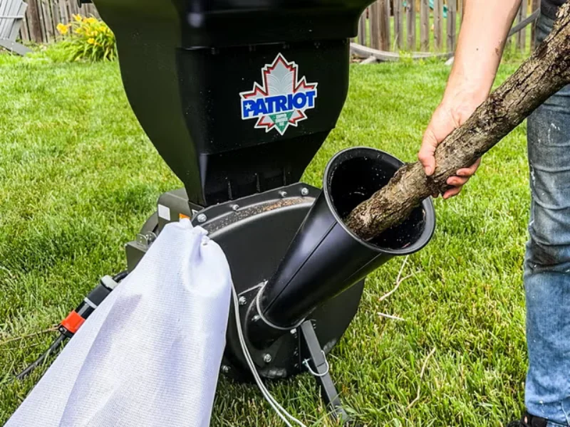 Brush chipping and yard cleanup service in Seffner and Temple Terrace FL