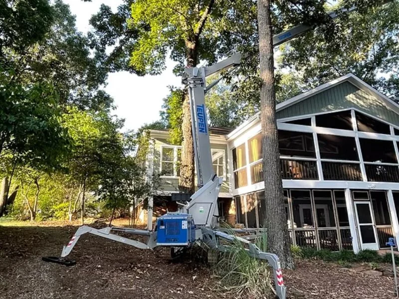 arborist trimming tree branches using professional equipment in Riverview FL