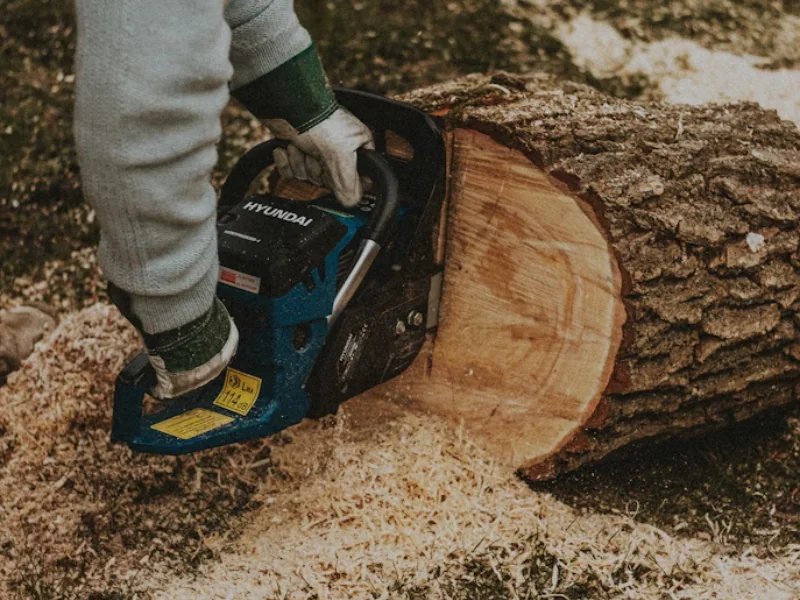 Brush chipping and yard cleanup service in St Petersburg FL