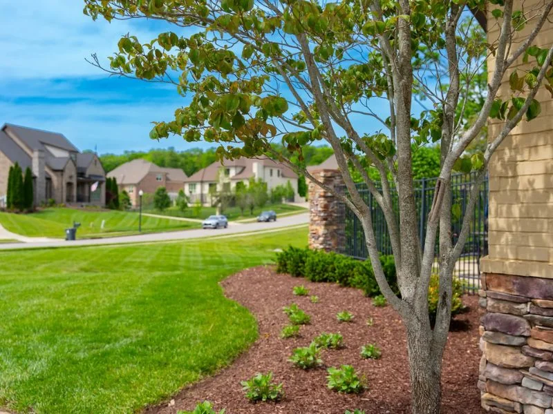 Storm debris cleanup and tree waste removal service in Brandon FL residential area