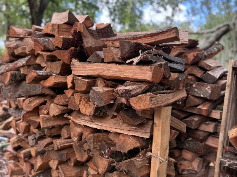 Brush chipping and yard cleanup service in Valrico FL after tree removal