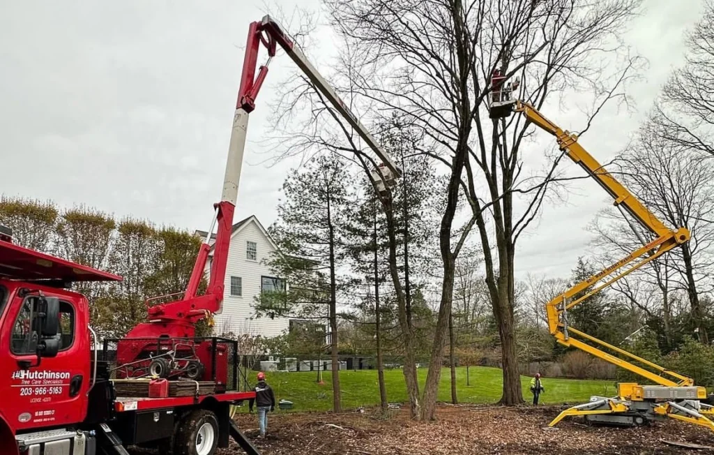 Professional tree removal equipment including crane and wood chipper