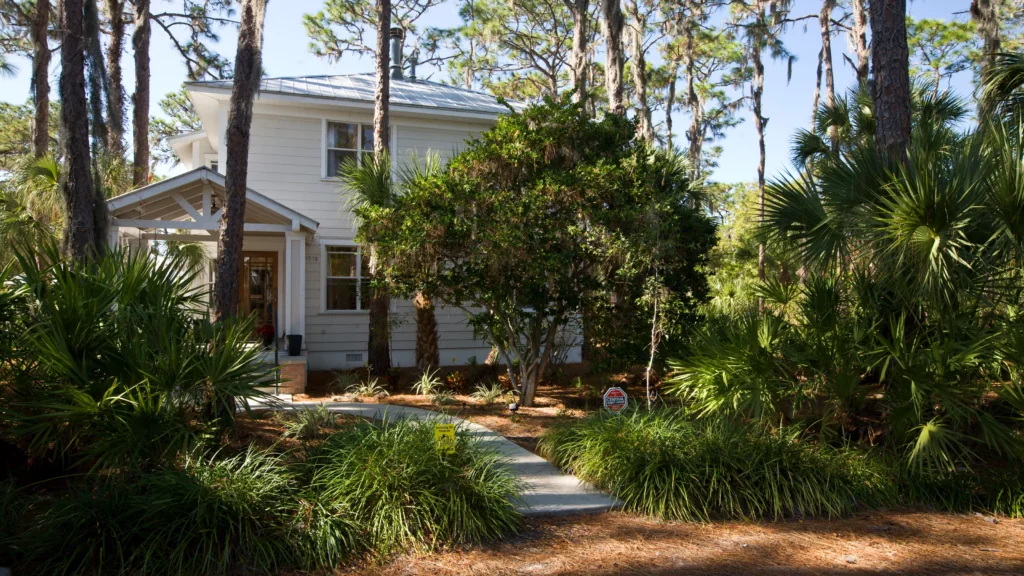 Home curb appeal improvement after tree removal