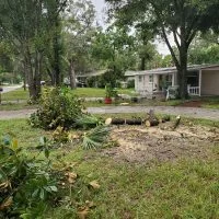 Yard cleared after stump removal and land leveling Tampa