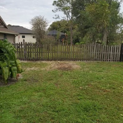 Backyard cleanup and tree removal service Tampa