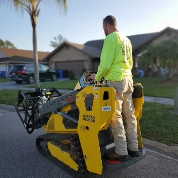 Stump grinding machine operated by professional in Tampa